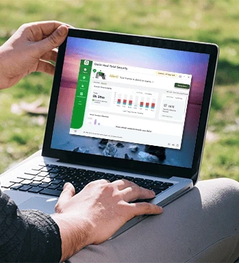 Customized Visual Reports